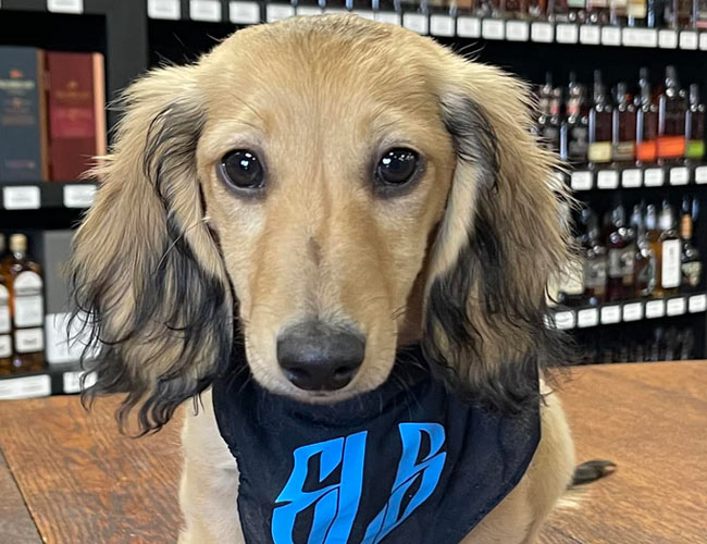 liquor spirits wine delivery & store in Kalispell Flathead Valley Montana